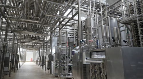 消费品制造业高质量发展调研行 探访蒙牛 零碳 工厂 寻找生产车间里的 绿色密码