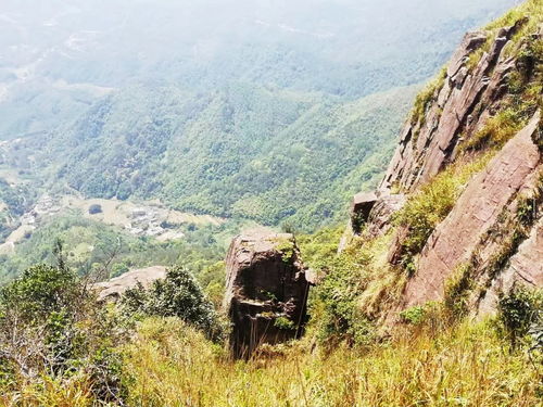 岑溪风物 意动身临湖广顶,雄山万仞踏云行