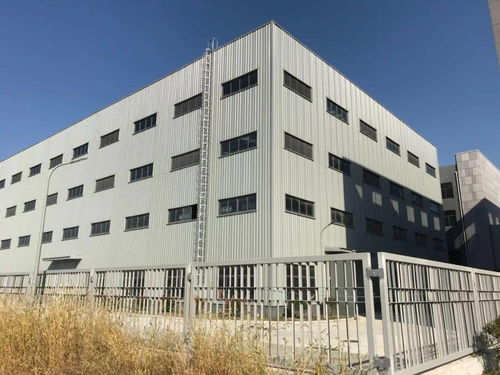 隆力奇栟茶智能工厂即将运营投产