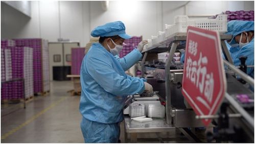 拼多多 农云行动 力推云南蓝莓破圈