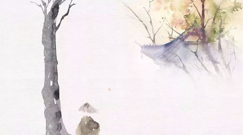 佛说 四无量心,欢喜自在 众生