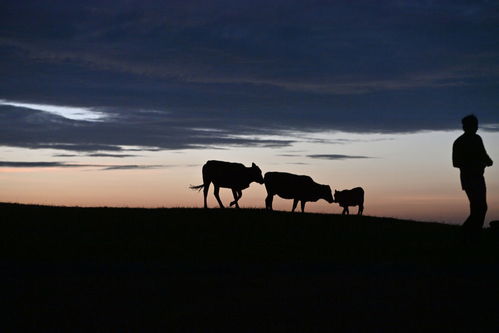 文化中国行 传统村落人文影像志丨尧告村 云端古寨寄乡愁