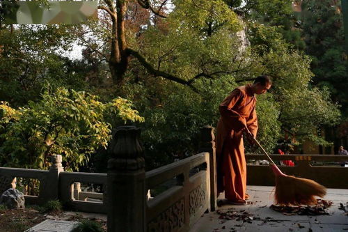 学处 你听过达摩祖师开示的修行方法吗 略辨大乘入道四行观 细讲 上