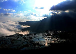 二月元阳之韵,带你看梯田,看云海,看最美的光