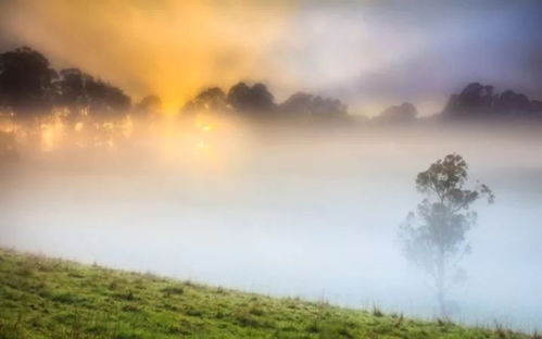 虽说一切都是浮云,但是古诗词中的浮云却这么美