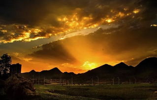 浮云游子意，落日故人情 古诗词中的思乡与友情