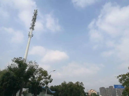 云在青天水波平——北大街街道污染防治百日攻坚专项行动掠影