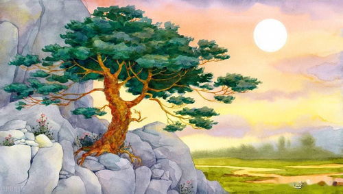 静待空山云出岫